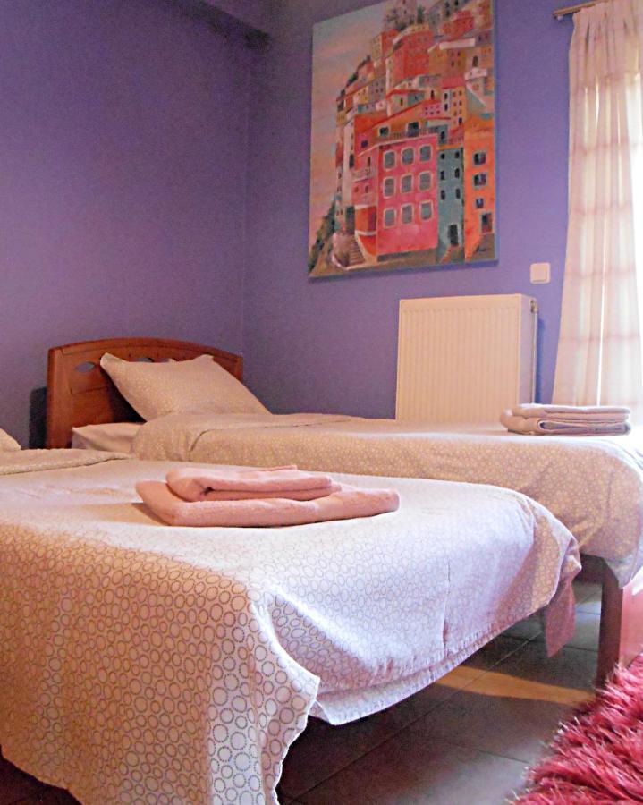 Secret Garden 76 Sq.M. Apartment Close To City Center Ioannina Ngoại thất bức ảnh